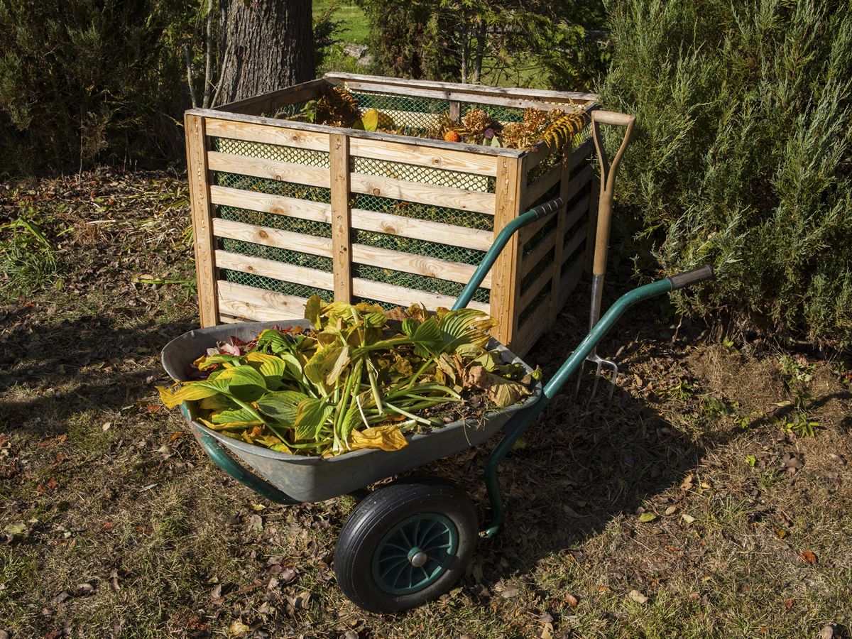 Mearns Horticultural Society Talk: Crimes Behind The Compost Heap