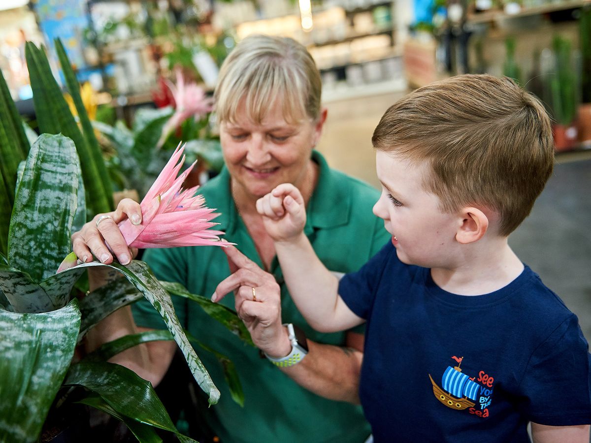 Dinosaur Day at Dobbies