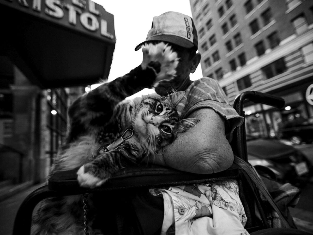 Street: International Photography Exhibition