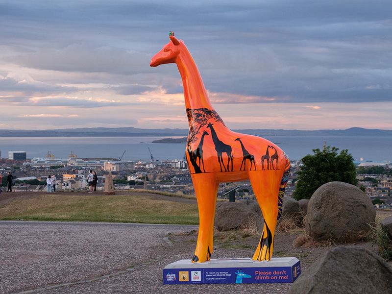 Giraffe About Town art trail hits streets of Edinburgh