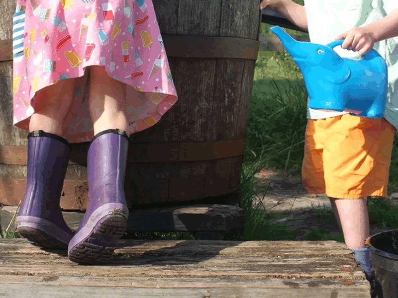 Summer at the Playbarn