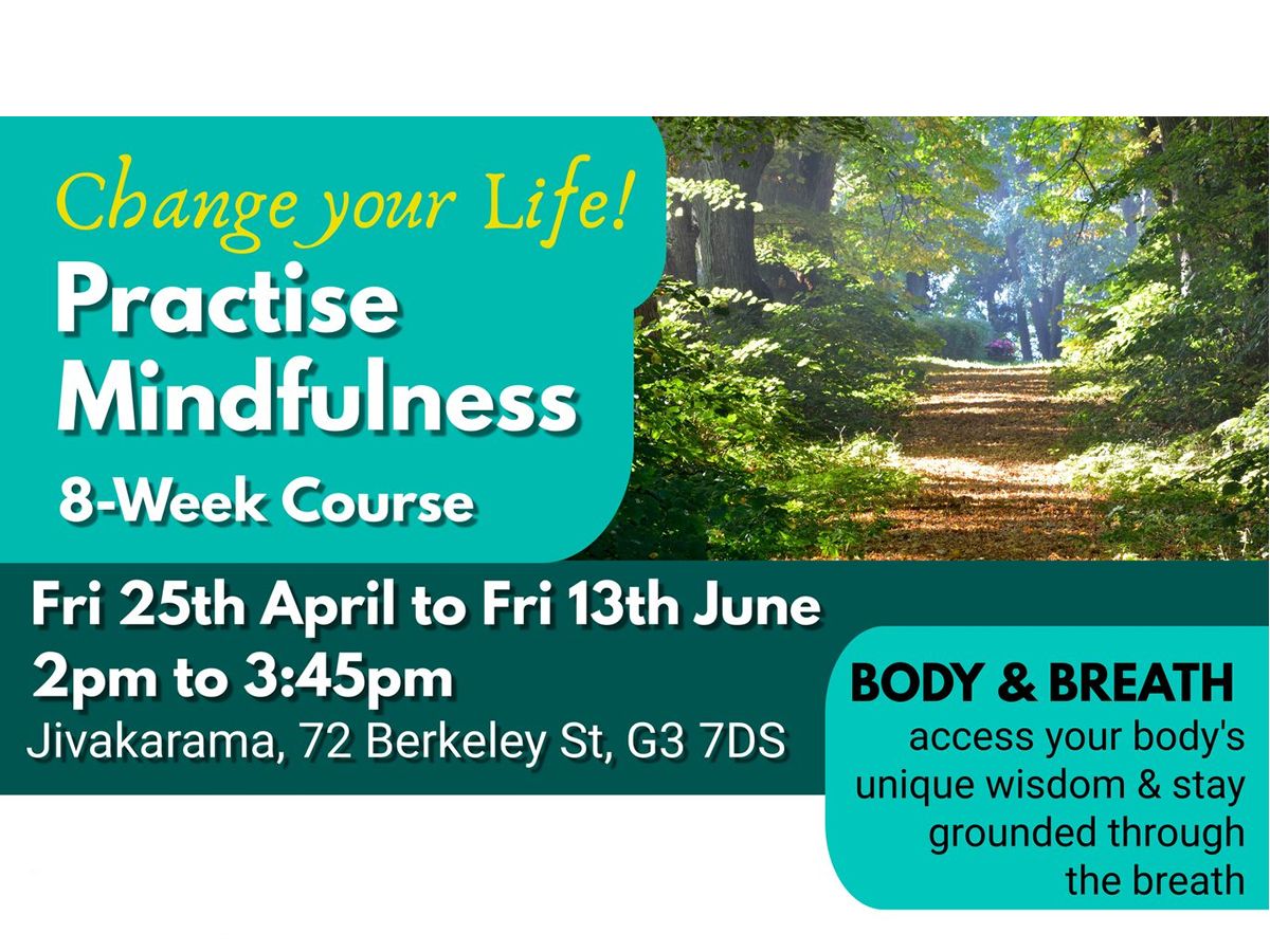 8-Week Mindfulness Course