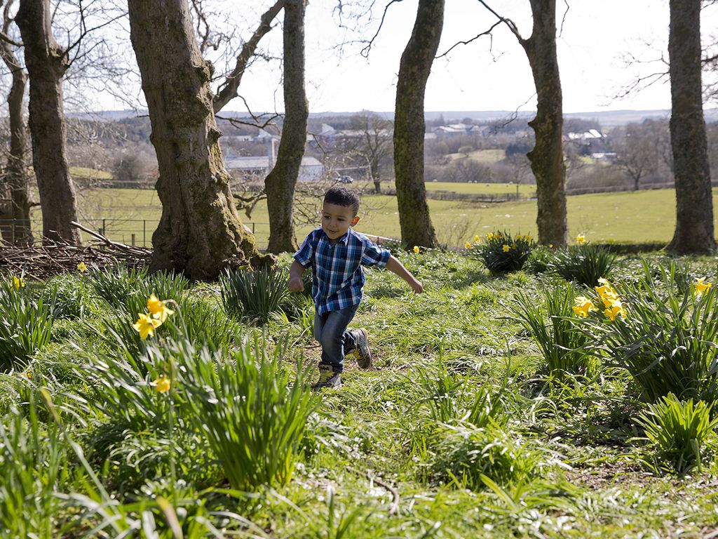 Spring Explorers