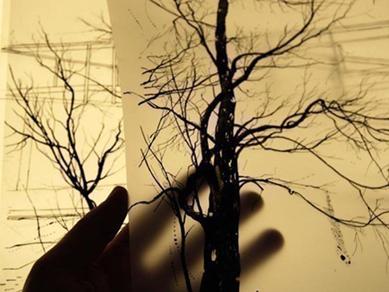 Photo Plate Lithography Summer Course