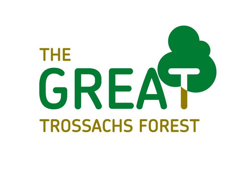The Great Trossachs Forest