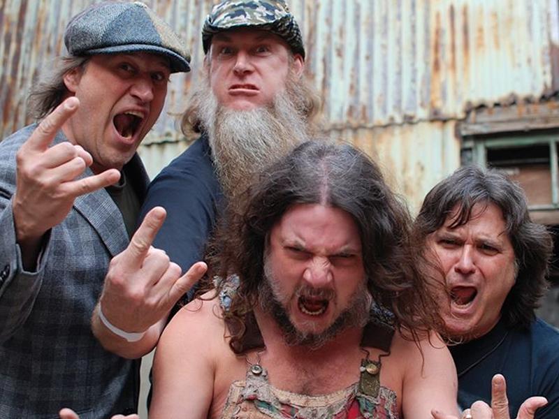 Hayseed Dixie