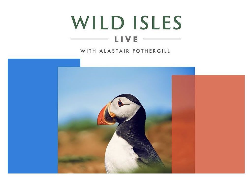 Wild Isles Live