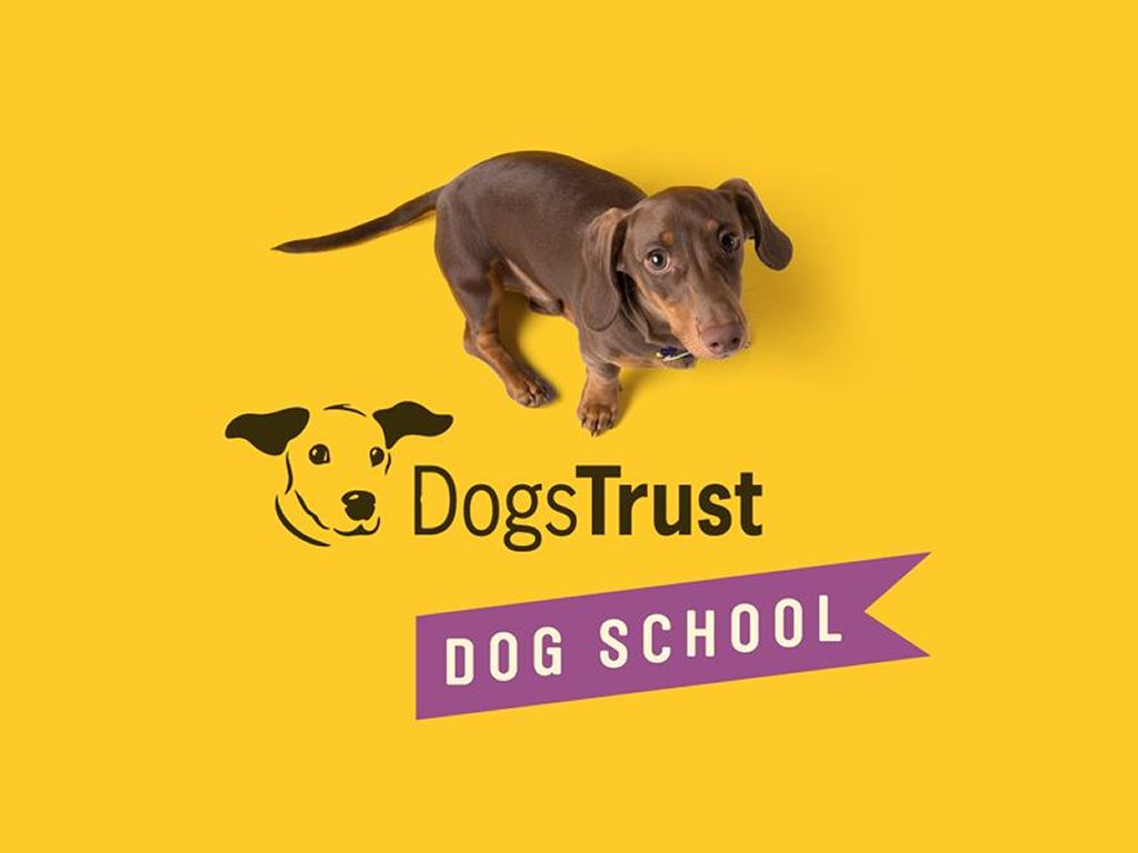 Dogs Trust Dog School Glasgow