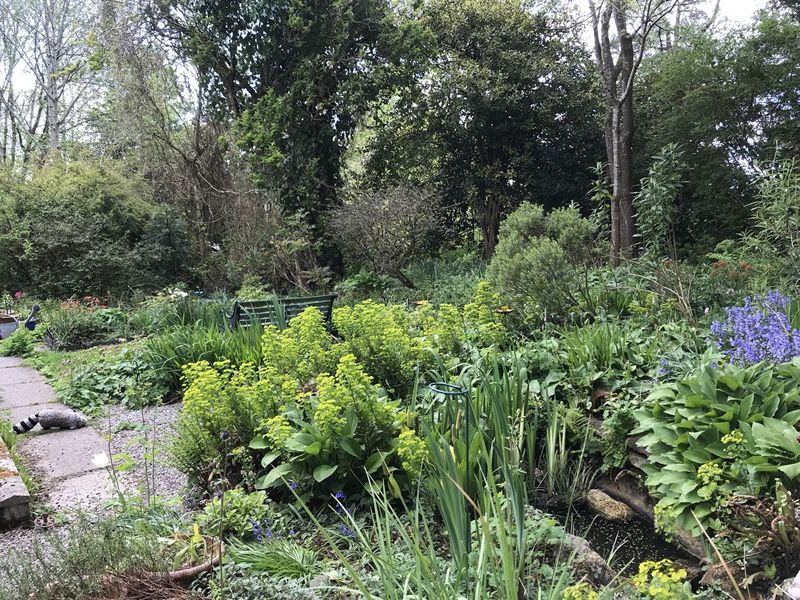 Scotland’s Gardens Scheme Open Garden: Hillcroft with Stonecroft