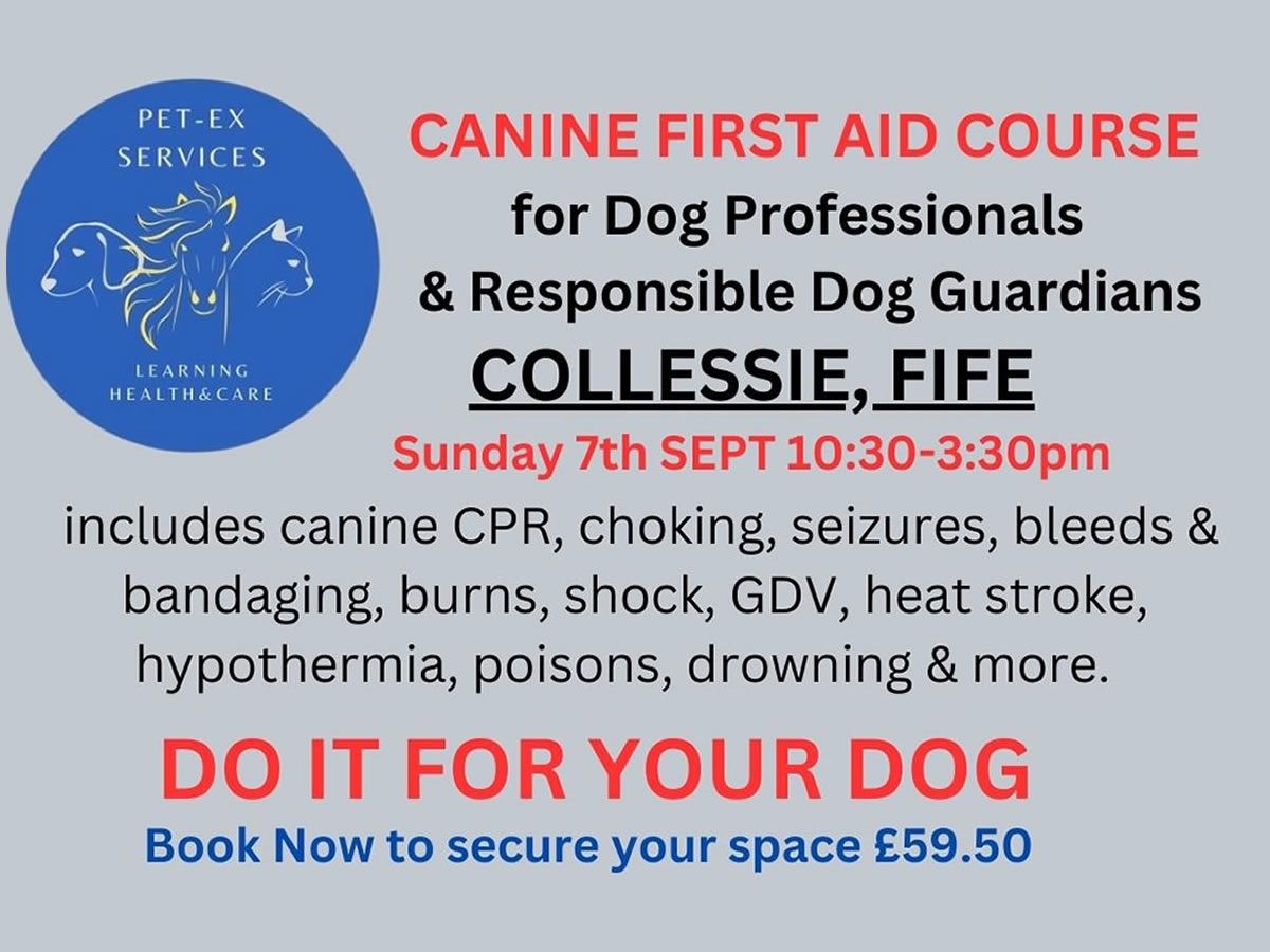Fife Collessie - Canine First Aid Course