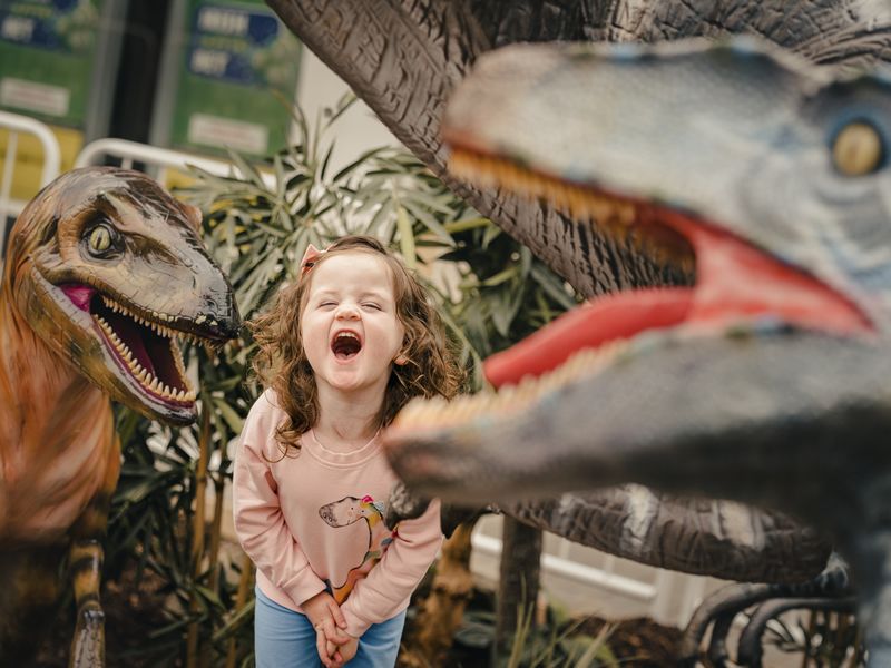 Border Biscuits sponsors DINOmite Jurassic Lanark community event