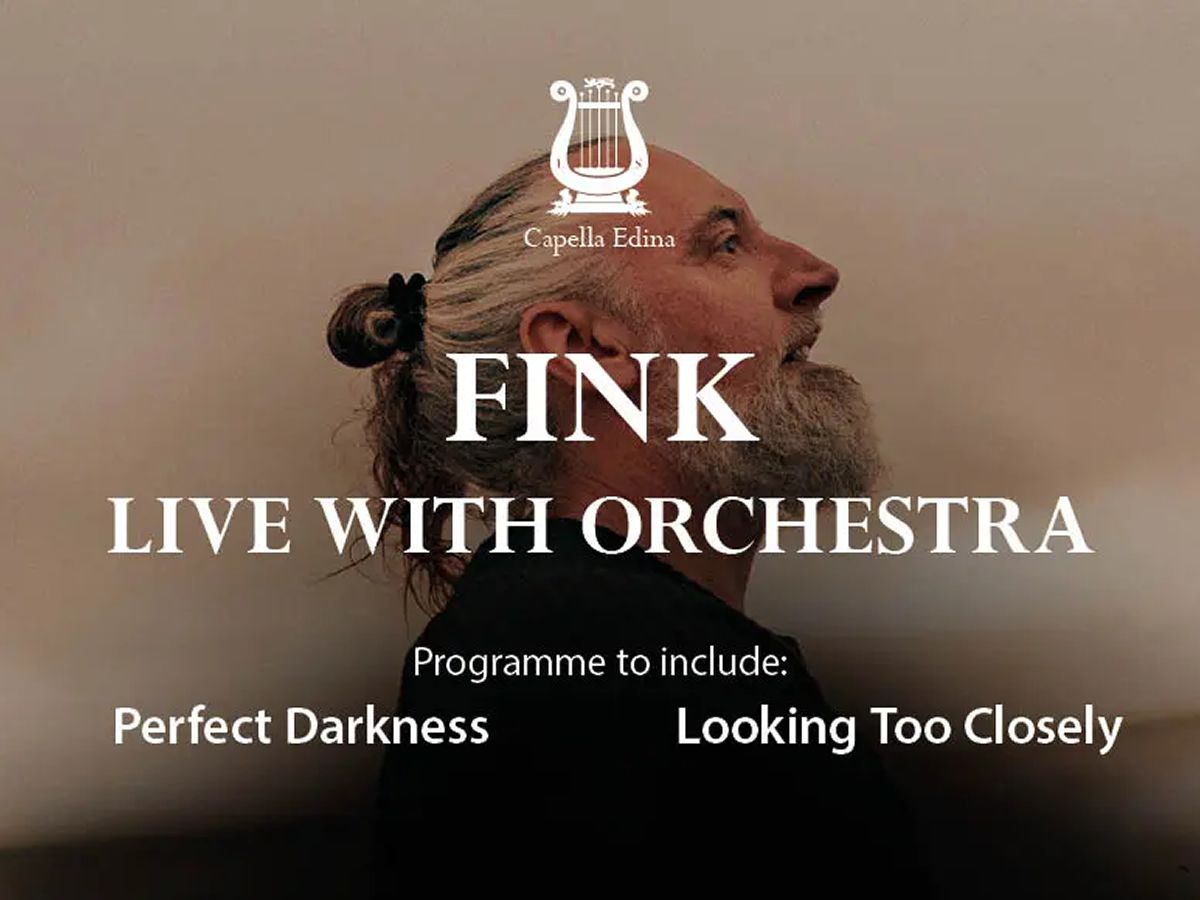 Fink Live with Orchestra