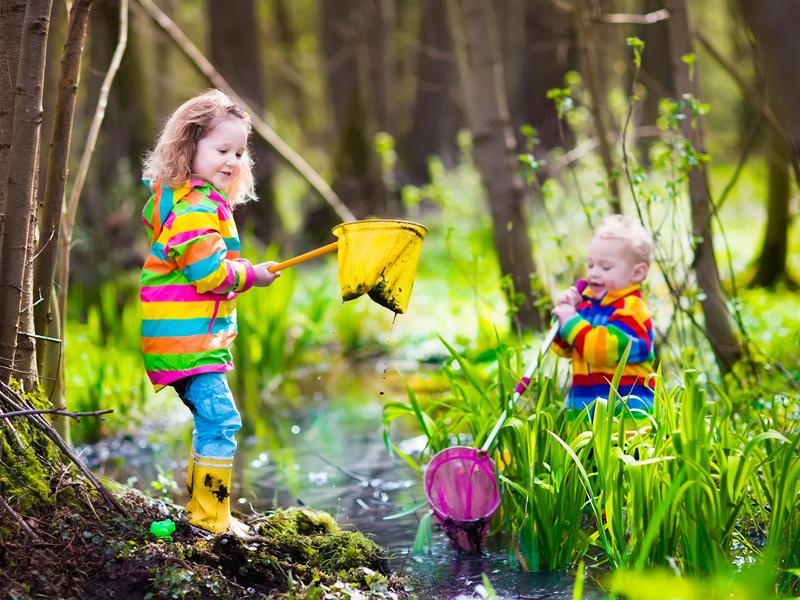 Celebrate Local Nature Reserves Day