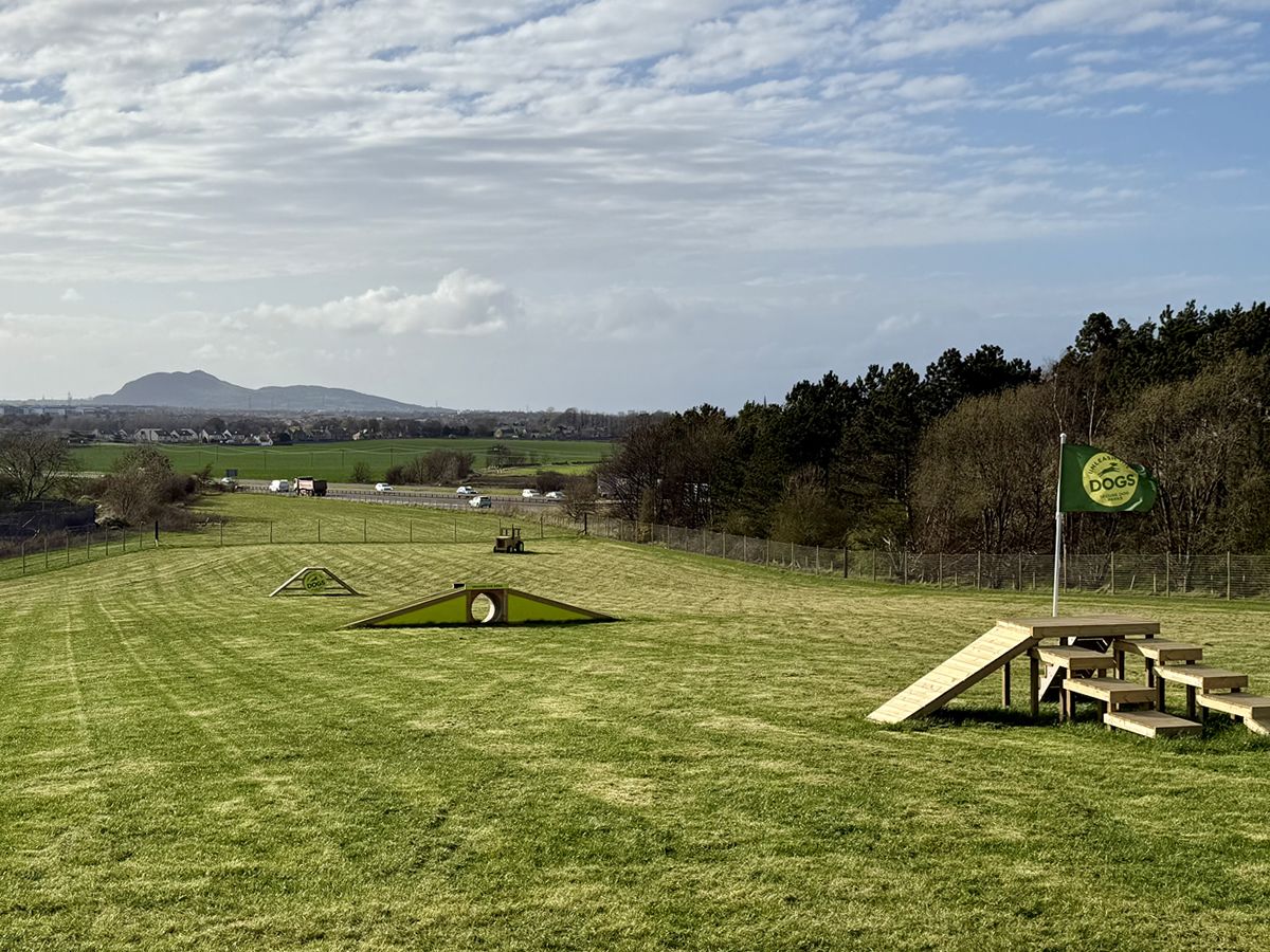 Paws at the ready as new dog park opens in Edinburgh