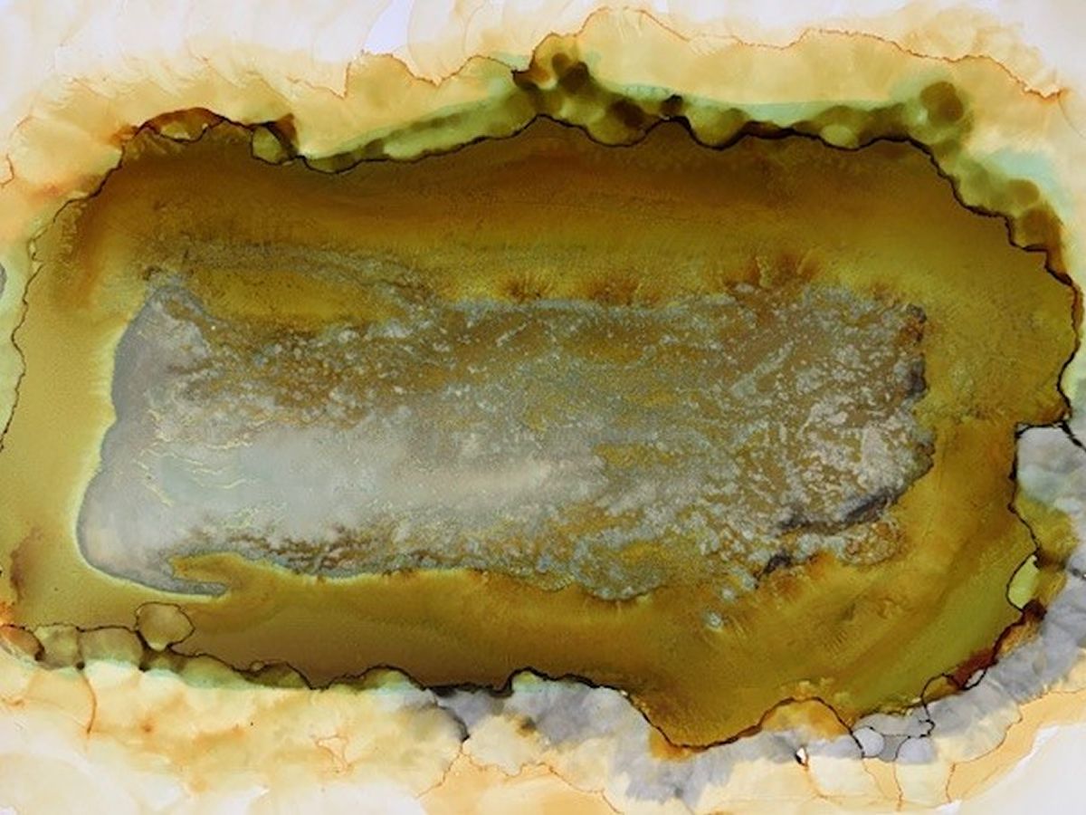 Still Walls, Passing Time an Exhibition by Allan Burnett & Christine Brown