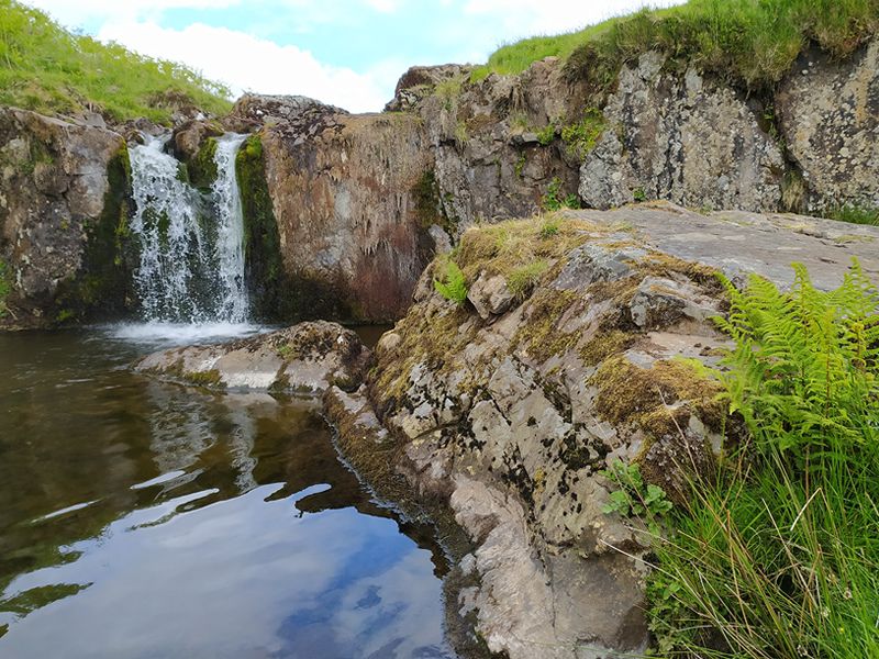 Guided Trail Run - Gleniffer Braes 8K