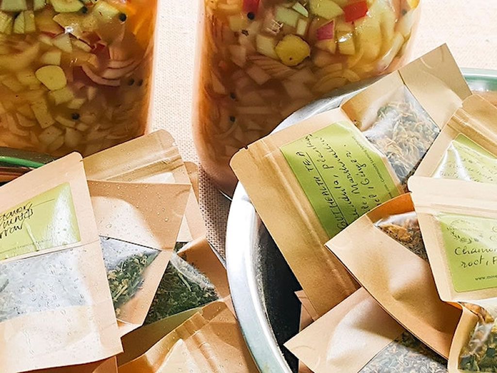 Herbal Remedies - Community Learning Apothecary Stirling