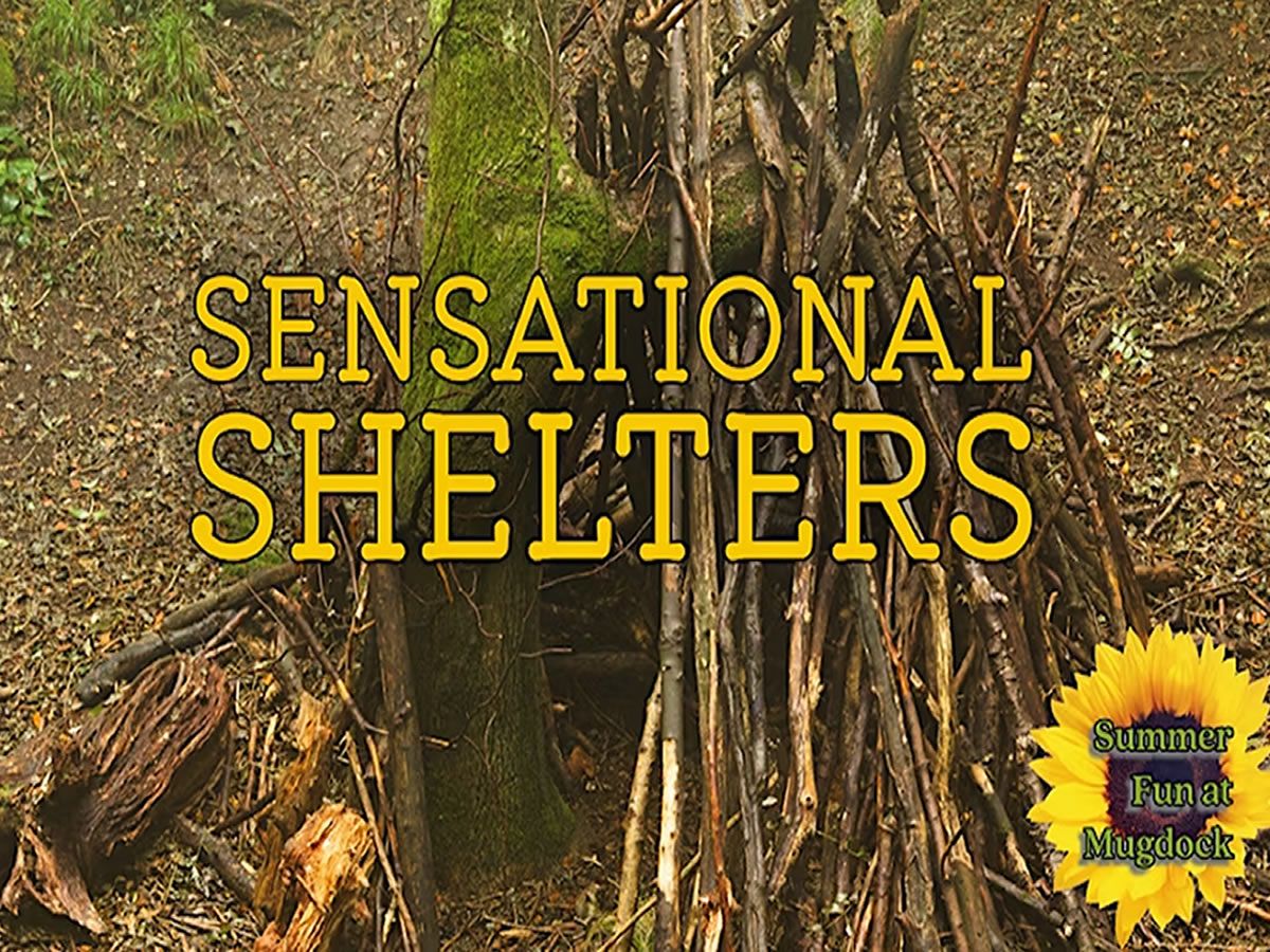 Sensational Shelters