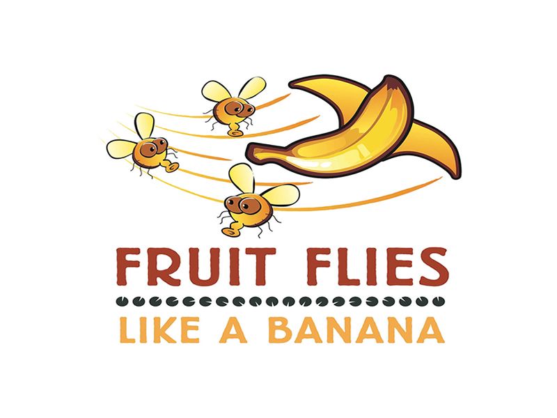 Fruit Flies Like a Banana: Kids!