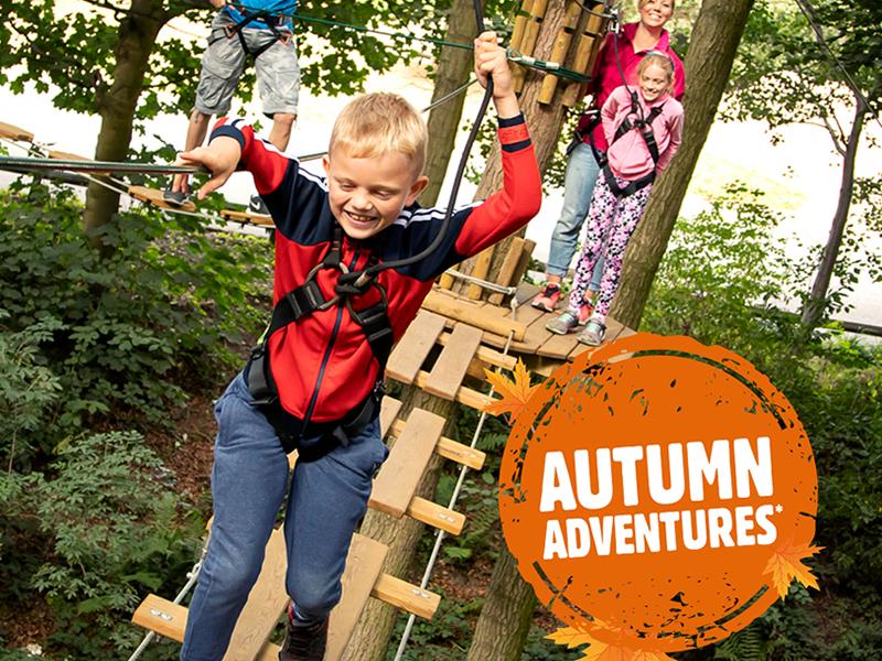 Enjoy an Autumn Adventure at Go Ape this October