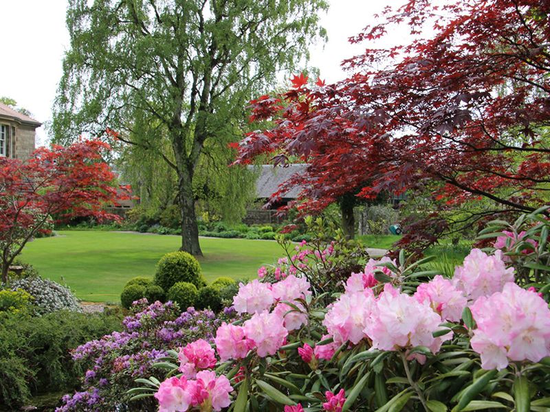 Scotland’s Gardens Scheme Open Garden: Redcroft and Innerwick House