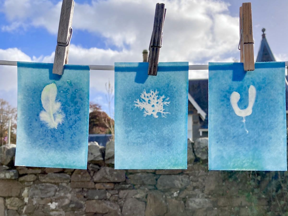 Cyanotype Printmaking