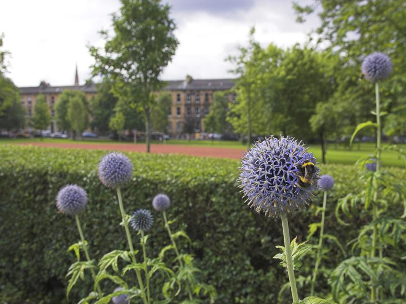 Glasgow to Globe: how saving nature could save people and the planet