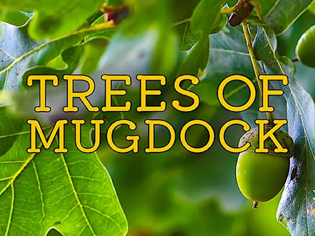 Trees of Mugdock