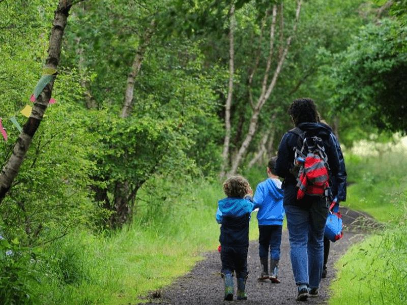 Free Family Wildlife Walk at Hogganfield