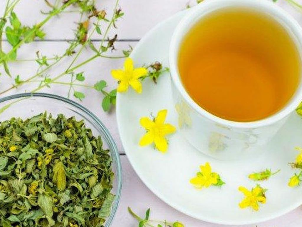 Herbs for your Head