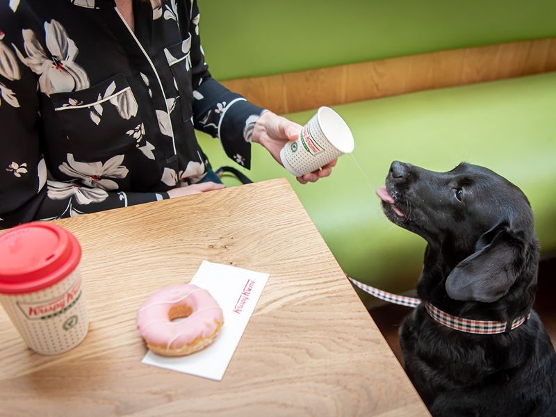 Silverburn Dog Friendly