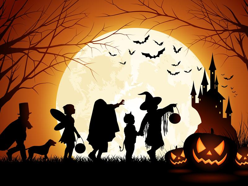 Magical school coming to Falls of Clyde for Halloween