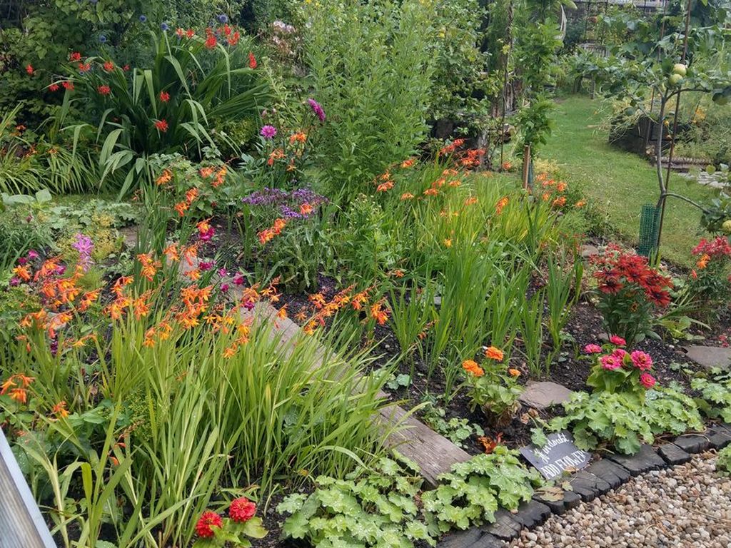 Scotland’s Gardens Scheme Open Garden: 12 Chatelherault Avenue (A Soiree in September)