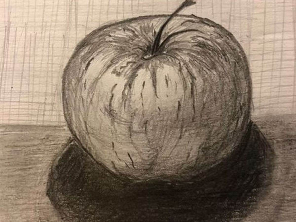 Beginners Drawing Workshop