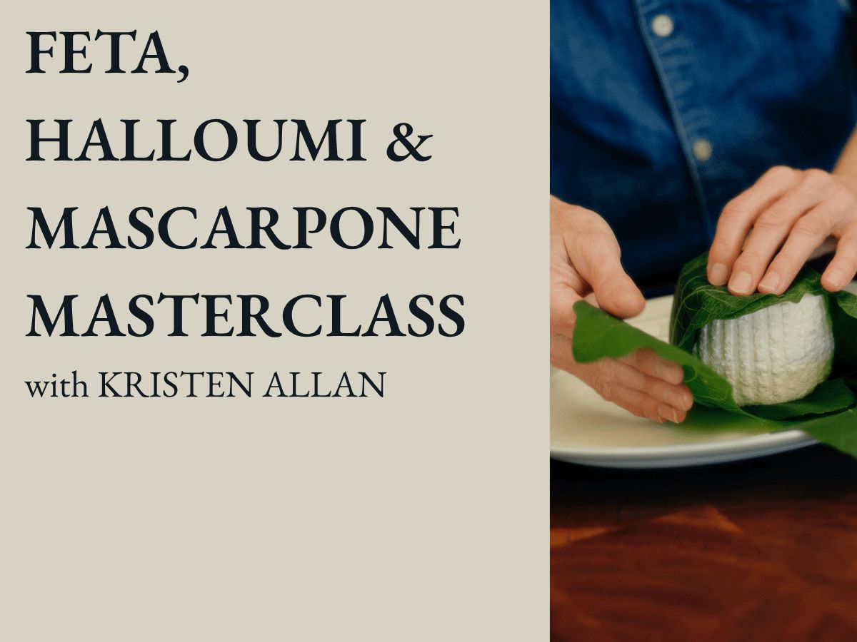 Feta, Halloumi & Mascarpone Masterclass with Kristen Allan