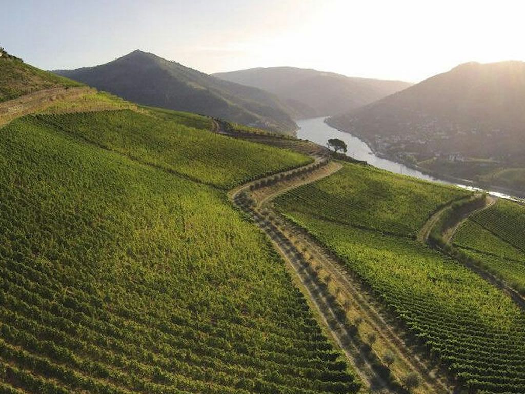 Esporão – Portuguese Wines Made at Nature’s Pace