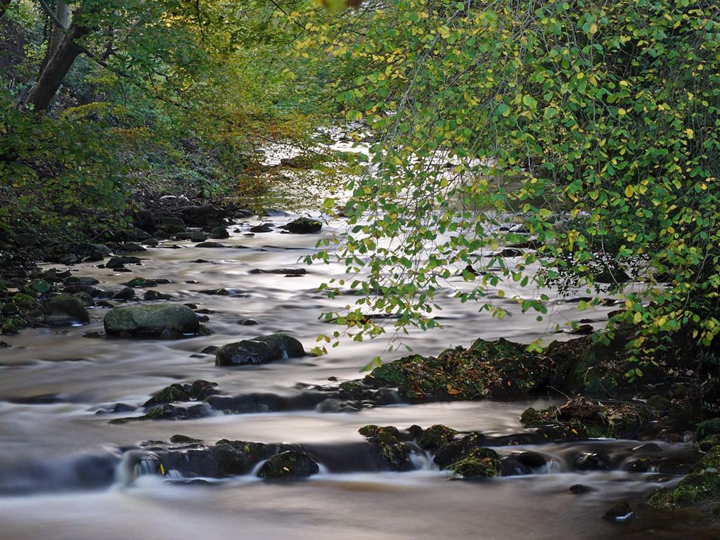 Water Of Leith Conservation Trust