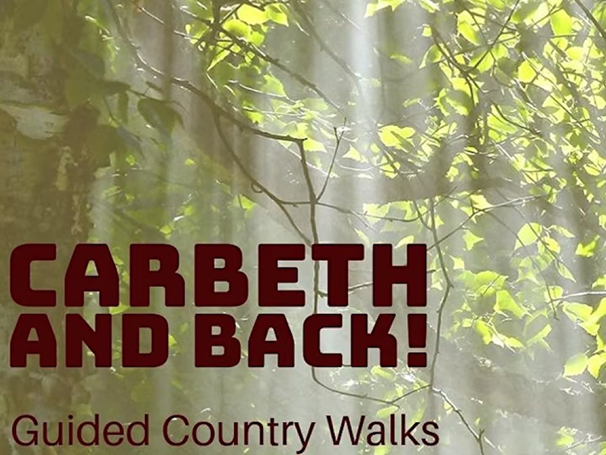 Guided walk: Carbeth and back