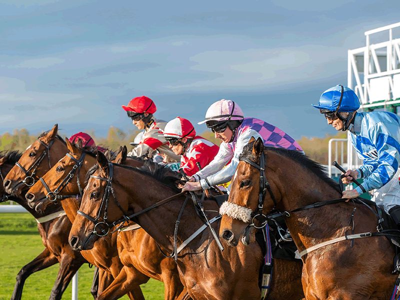 The Racing TV Raceday