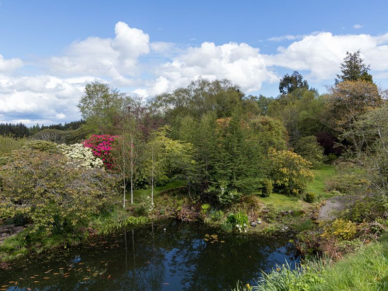 Scotland’s Gardens Scheme Open Garden: South Flisk
