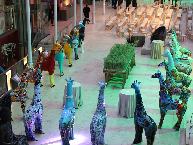 Edinburgh Zoo raises thousands for wildlife conservation at Giraffe