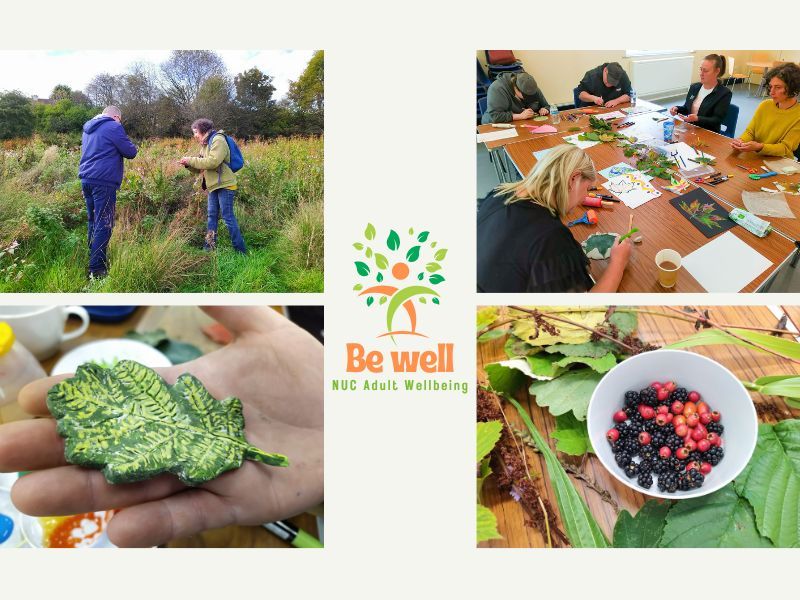 Be Well Wellbeing Nature and Arts and Crafts Group for Adults at