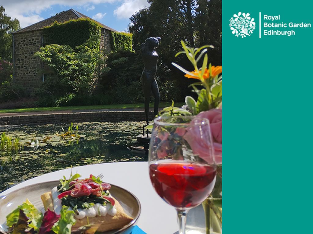 Courtyard Café with Roberta Hall-McCarron