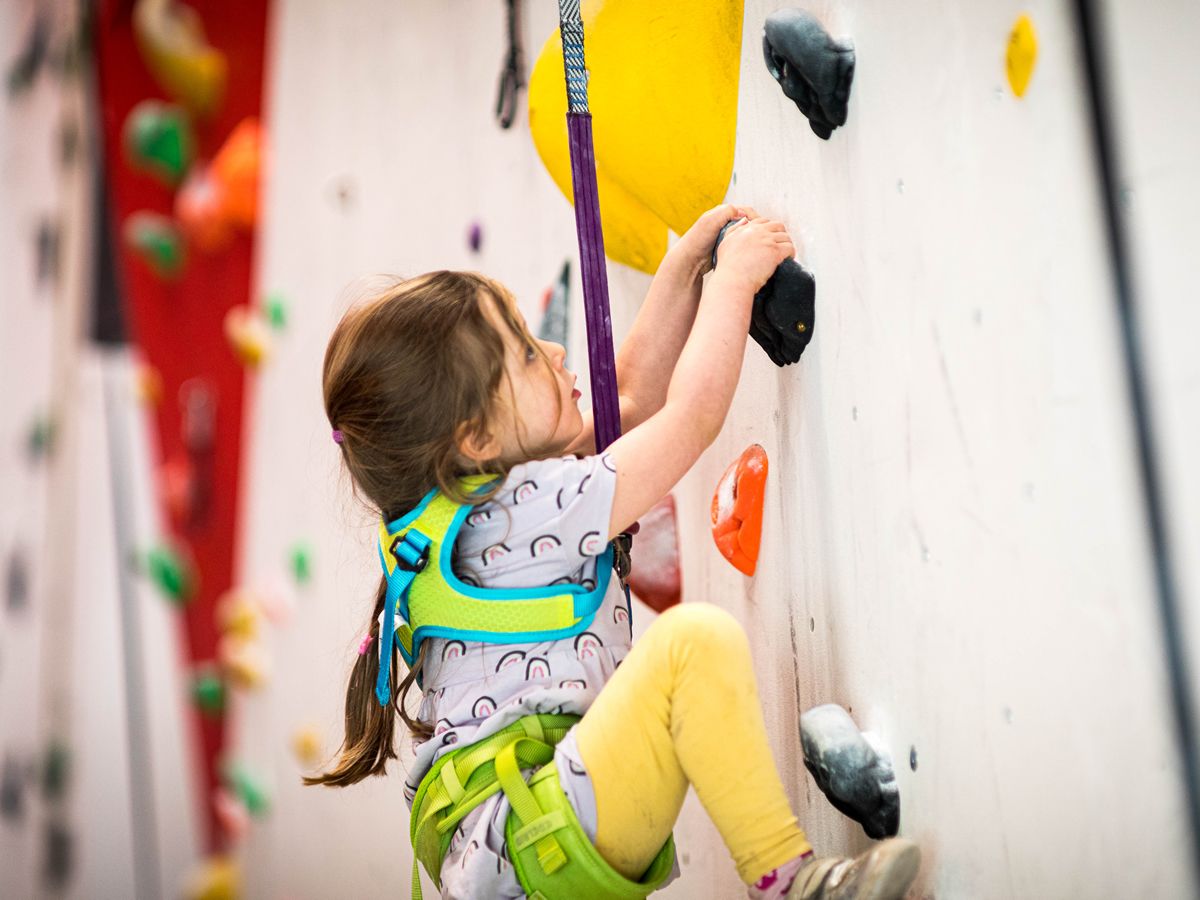 Family Climbing Tasters