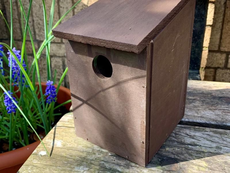 Build Your Own Bird Box