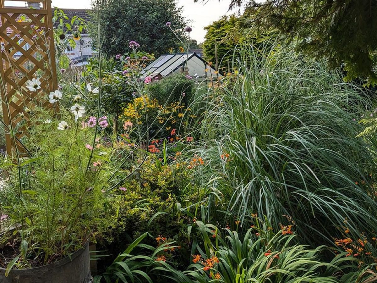 Scotland’s Gardens Scheme Open Garden: Transform_No10