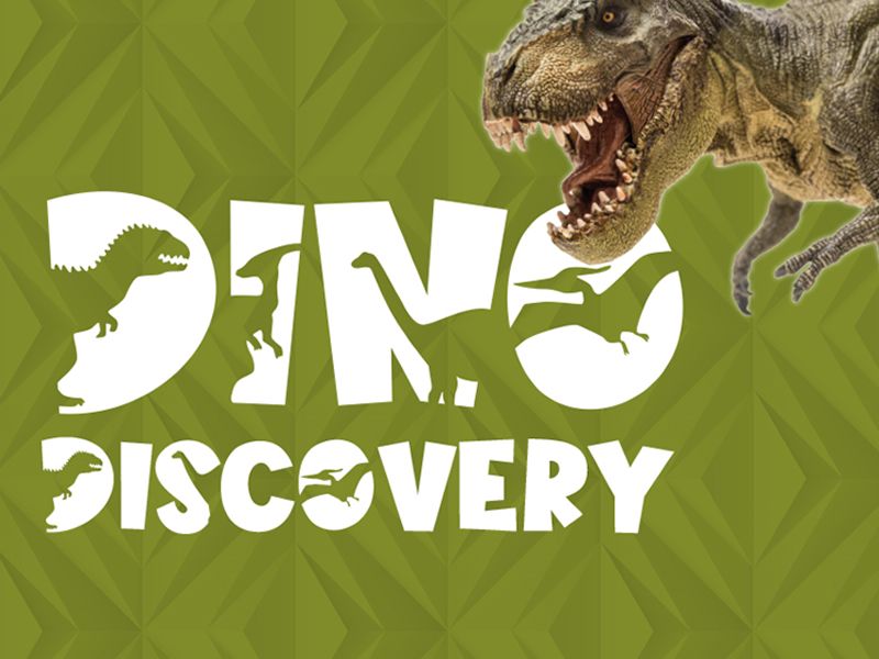 Dino Discovery