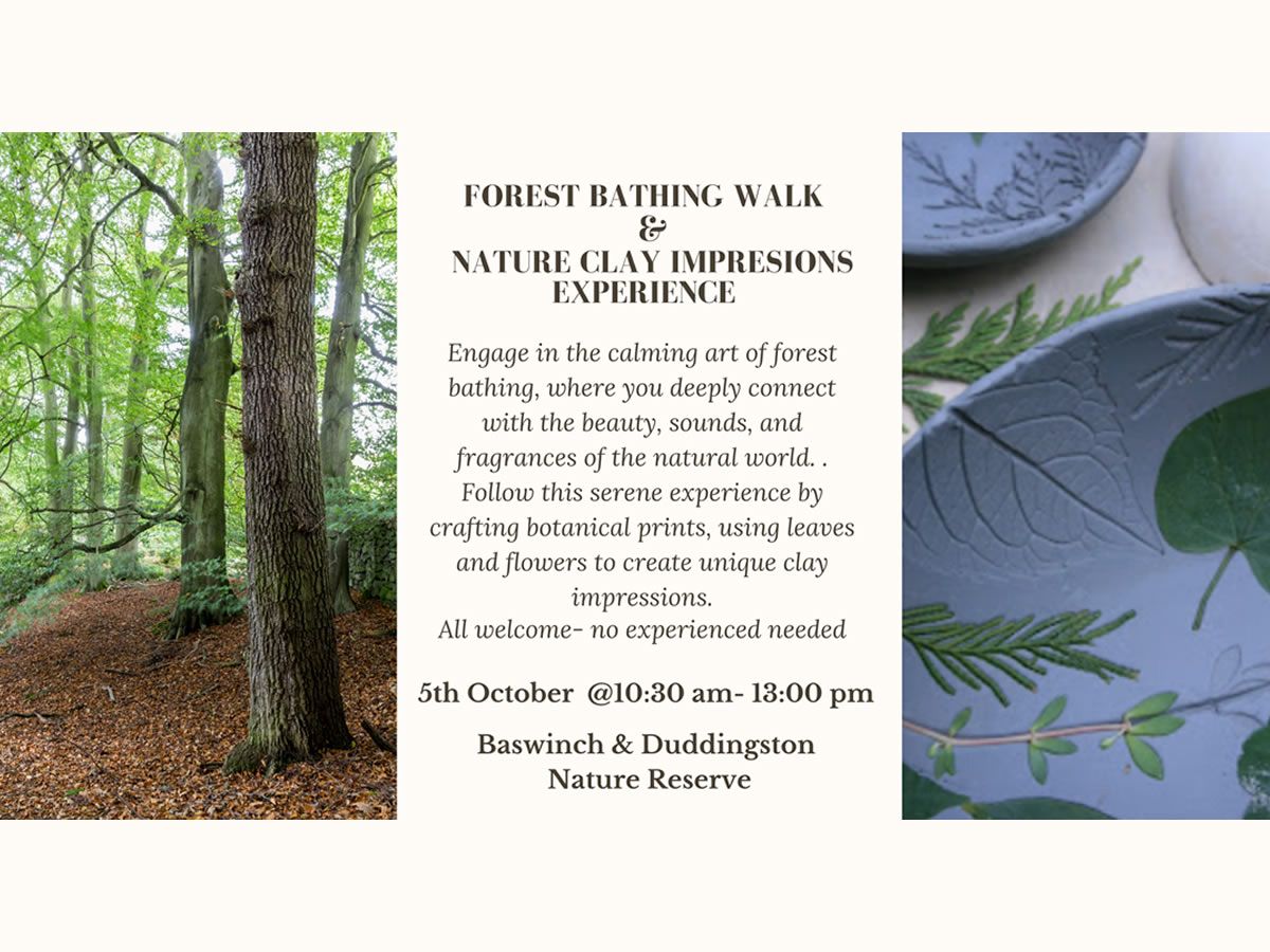 Forest Bathing Walk & Nature Clay Impressions Experience