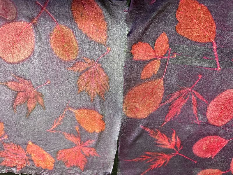 Botanical Printing On Fabric With Red dyes (Suitable For Beginners)