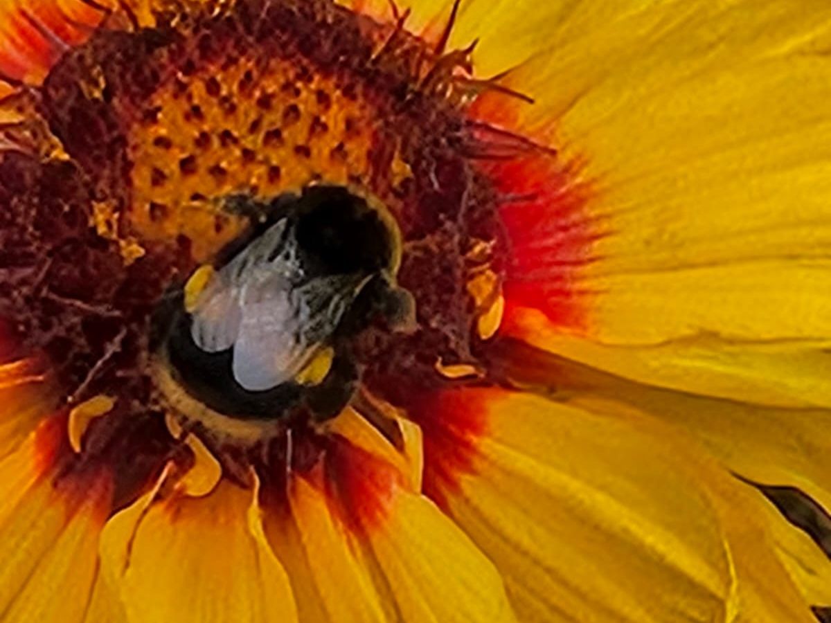 Embrace Nature, Inspire Creativity - Creative Writing Workshop